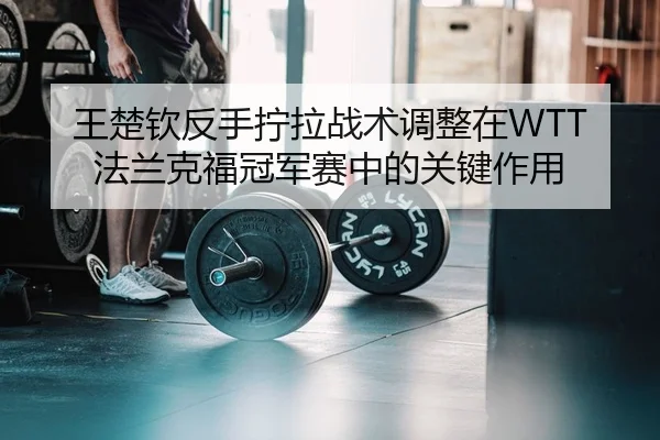 王楚钦反手拧拉战术调整在WTT法兰克福冠军赛中的关键作用